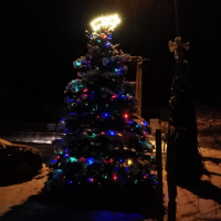 Rozsvěcení Vánočního stromu